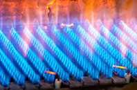 Homerton gas fired boilers